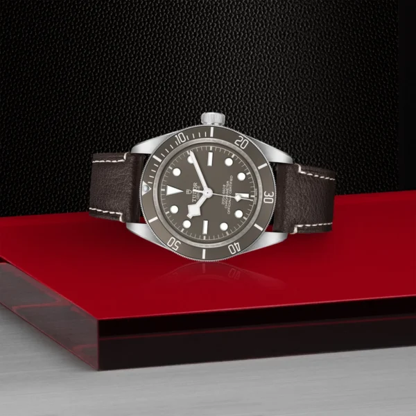 Black Bay 58 925 - Imagen 4