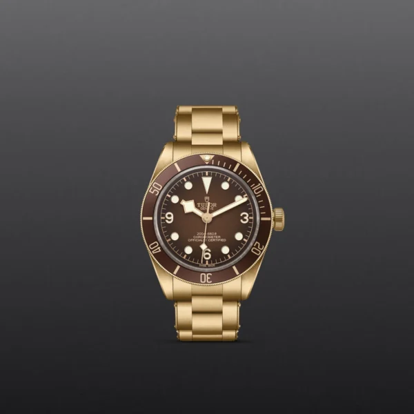 Black Bay 58 Bronze - Imagen 5