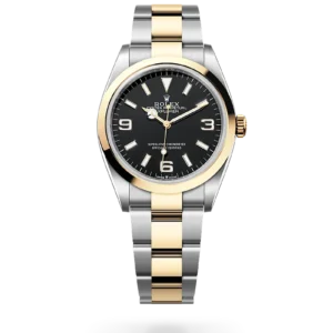 Rolex 
Explorer 36
Oyster, 36 mm, acero Oystersteel y oro amarillo
M124273-0001
