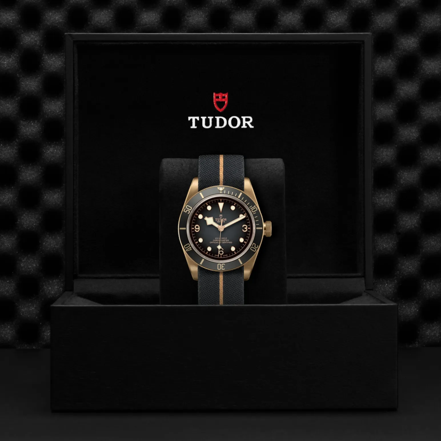 Black Bay Bronze - M79250BA-0002 - Imagen 5