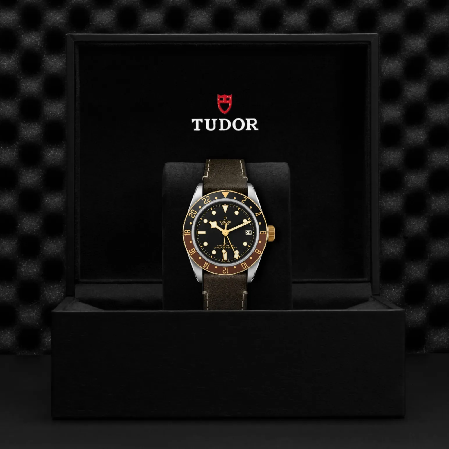 Black Bay GMT S&G - M79833MN-0003 - Imagen 5